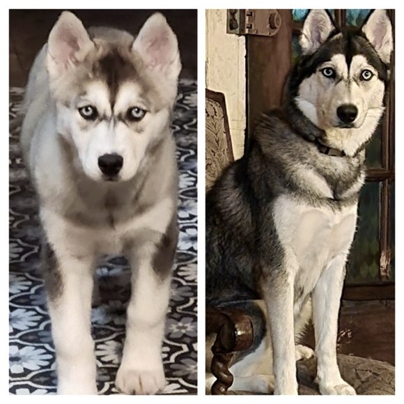 Meet your Posher, Doris - Picture 5 of 16